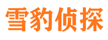 二道捉小三公司